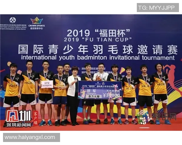 南京羽毛球队在杯赛中的比赛经验与表现分析